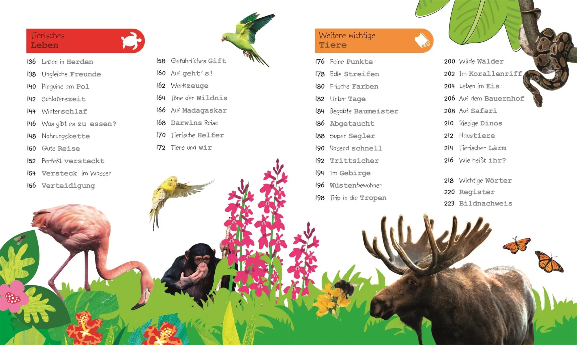 Bild: 9783831035731 | Was weißt du über Tiere? | DK Verlag - Kids | Buch | 224 S. | Deutsch