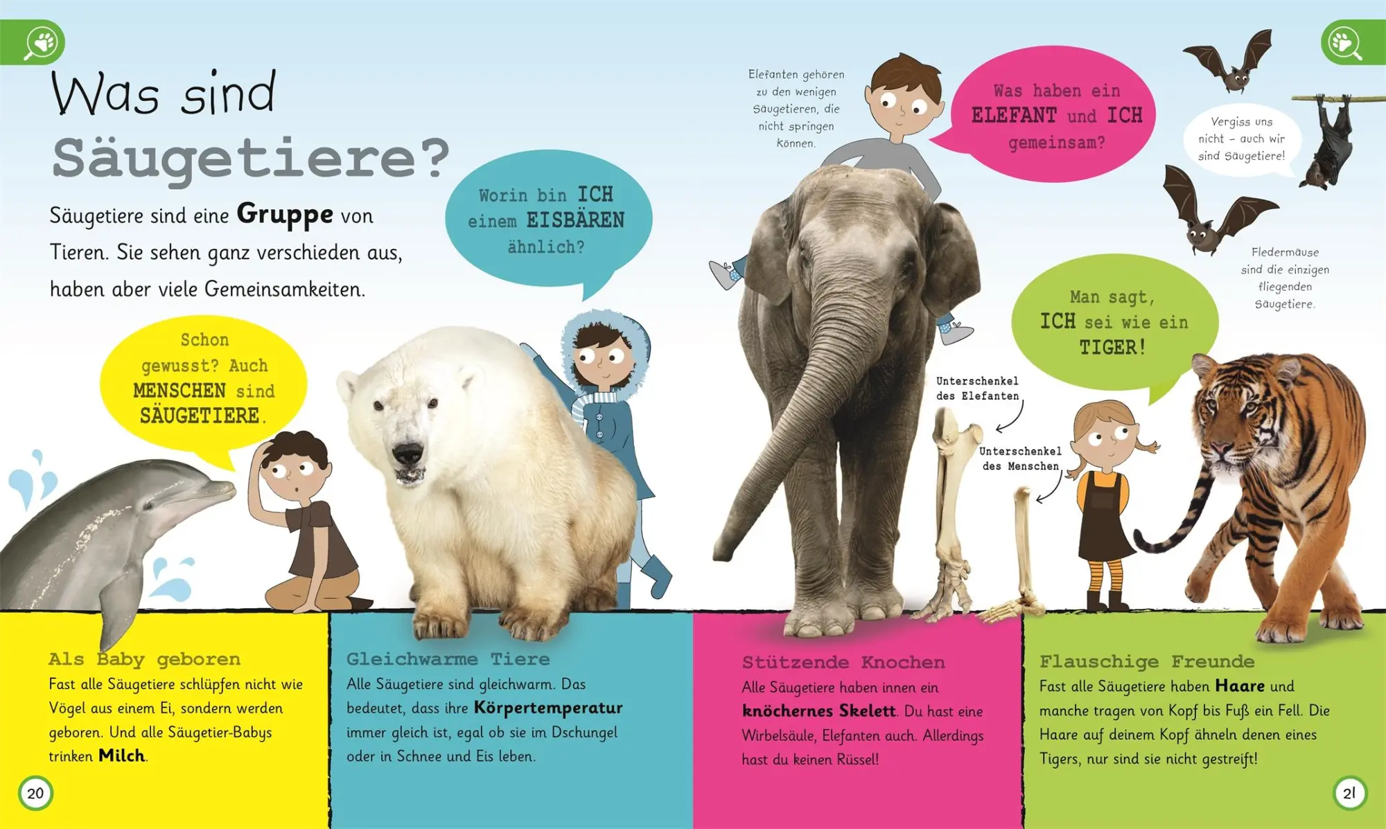 Bild: 9783831035731 | Was weißt du über Tiere? | DK Verlag - Kids | Buch | 224 S. | Deutsch