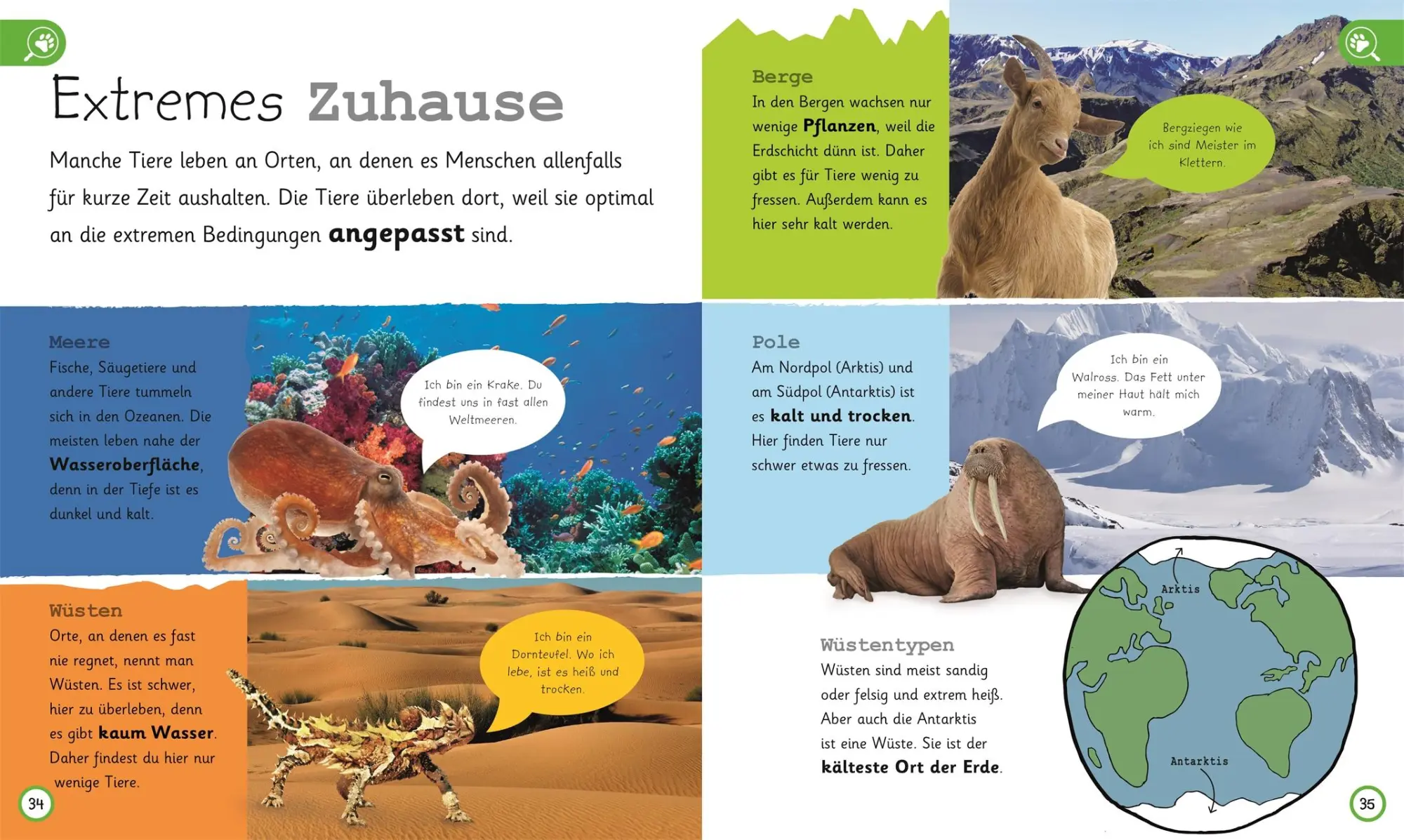 Bild: 9783831035731 | Was weißt du über Tiere? | DK Verlag - Kids | Buch | 224 S. | Deutsch