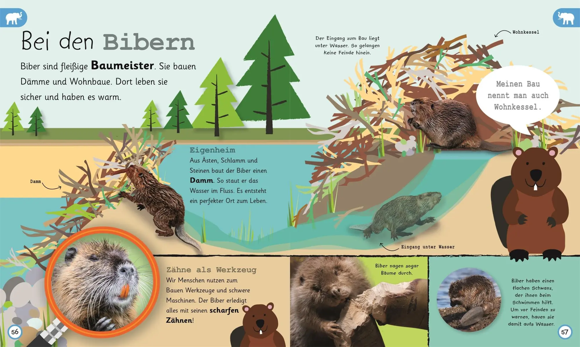 Bild: 9783831035731 | Was weißt du über Tiere? | DK Verlag - Kids | Buch | 224 S. | Deutsch