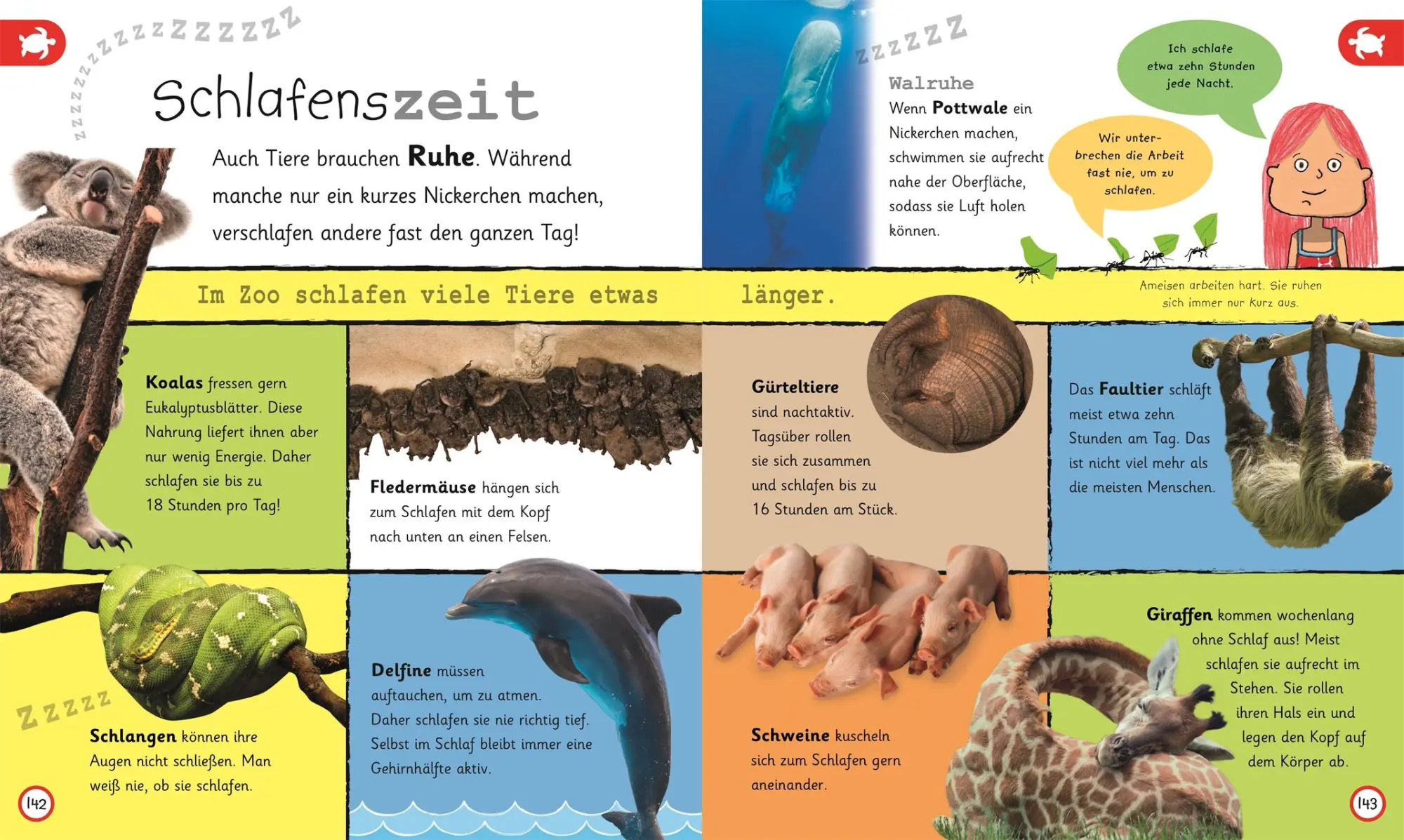Bild: 9783831035731 | Was weißt du über Tiere? | DK Verlag - Kids | Buch | 224 S. | Deutsch