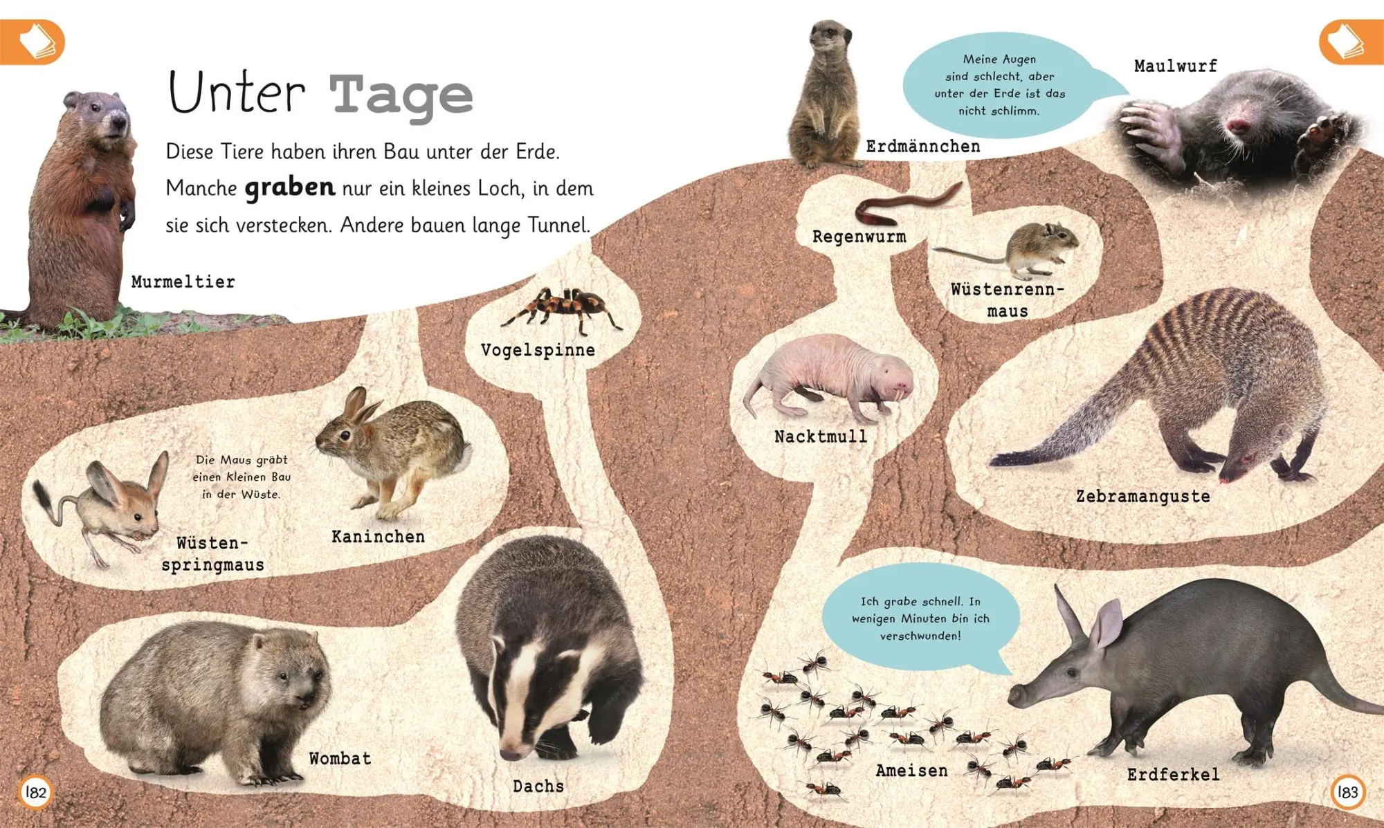 Bild: 9783831035731 | Was weißt du über Tiere? | DK Verlag - Kids | Buch | 224 S. | Deutsch