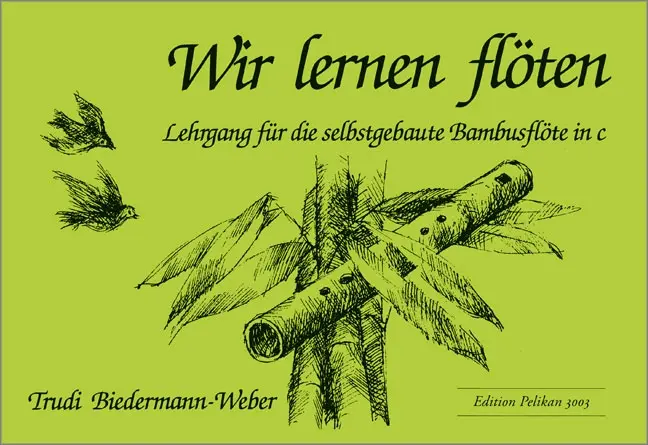 Cover: 9783909415731 | Wir lernen Flöten | Trudi Biedermann-Weber | Großformatiges Buch
