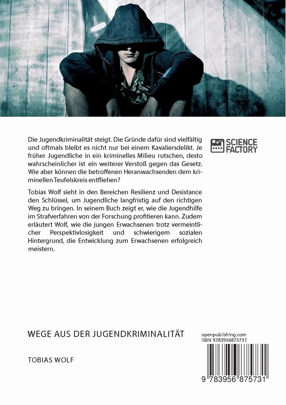 Rückseite: 9783956875731 | Wege aus der Jugendkriminalität. Wie profitiert die Jugendhilfe von...