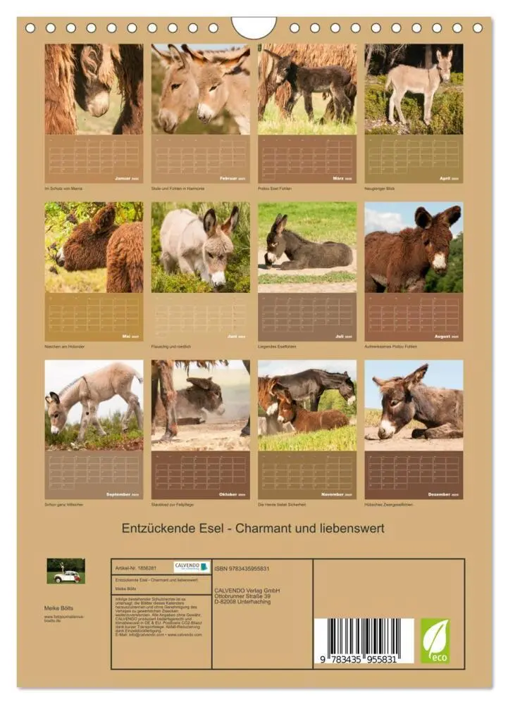 Bild: 9783435955831 | Entzückende Esel - Charmant und liebenswert (Wandkalender 2025 DIN...