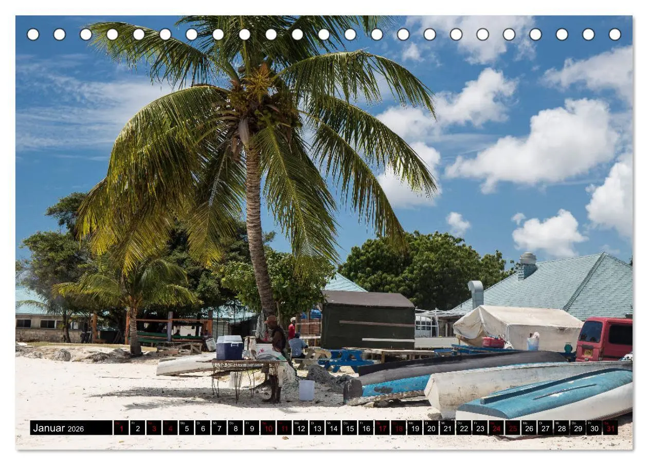 Bild: 9783457805831 | Barbados (Tischkalender 2026 DIN A5 quer), CALVENDO Monatskalender