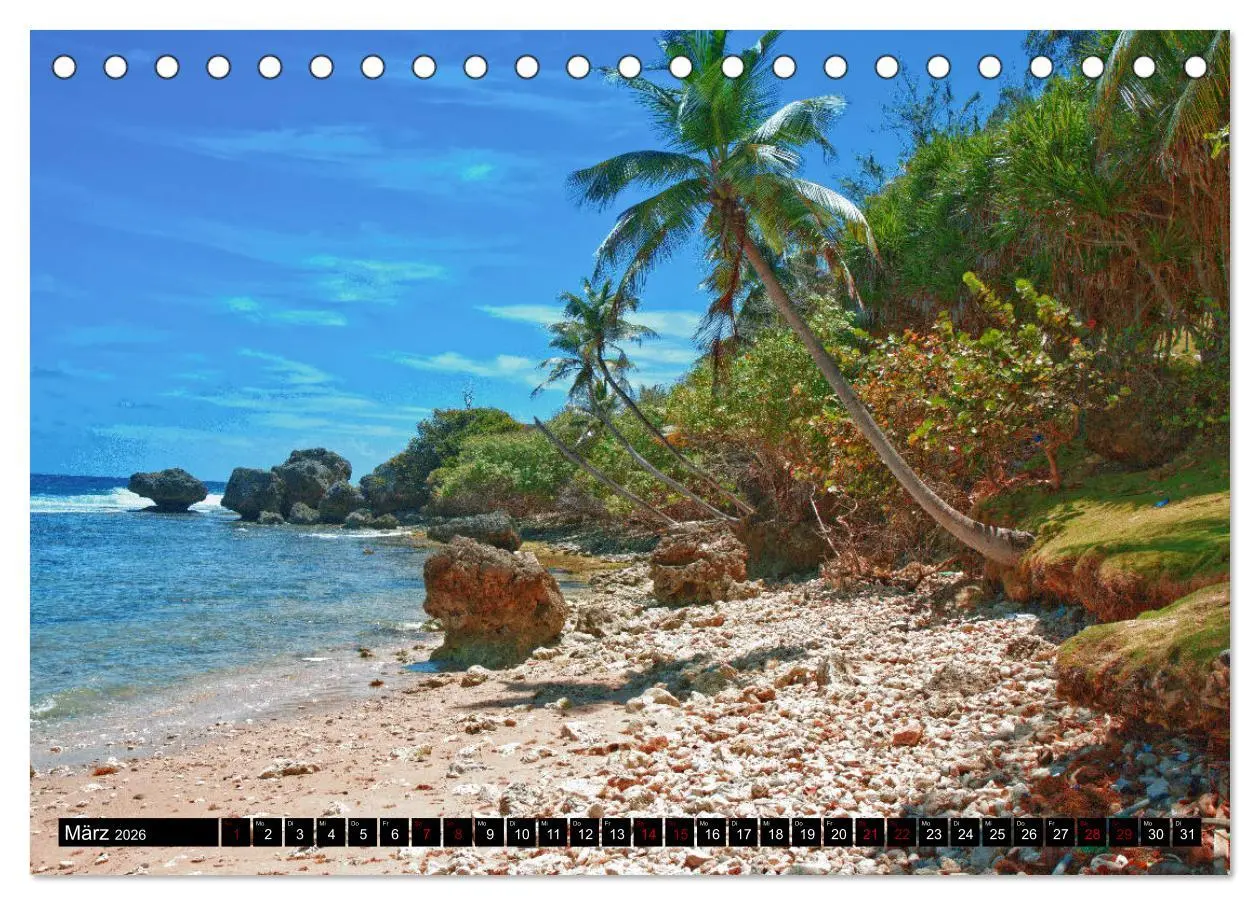 Bild: 9783457805831 | Barbados (Tischkalender 2026 DIN A5 quer), CALVENDO Monatskalender