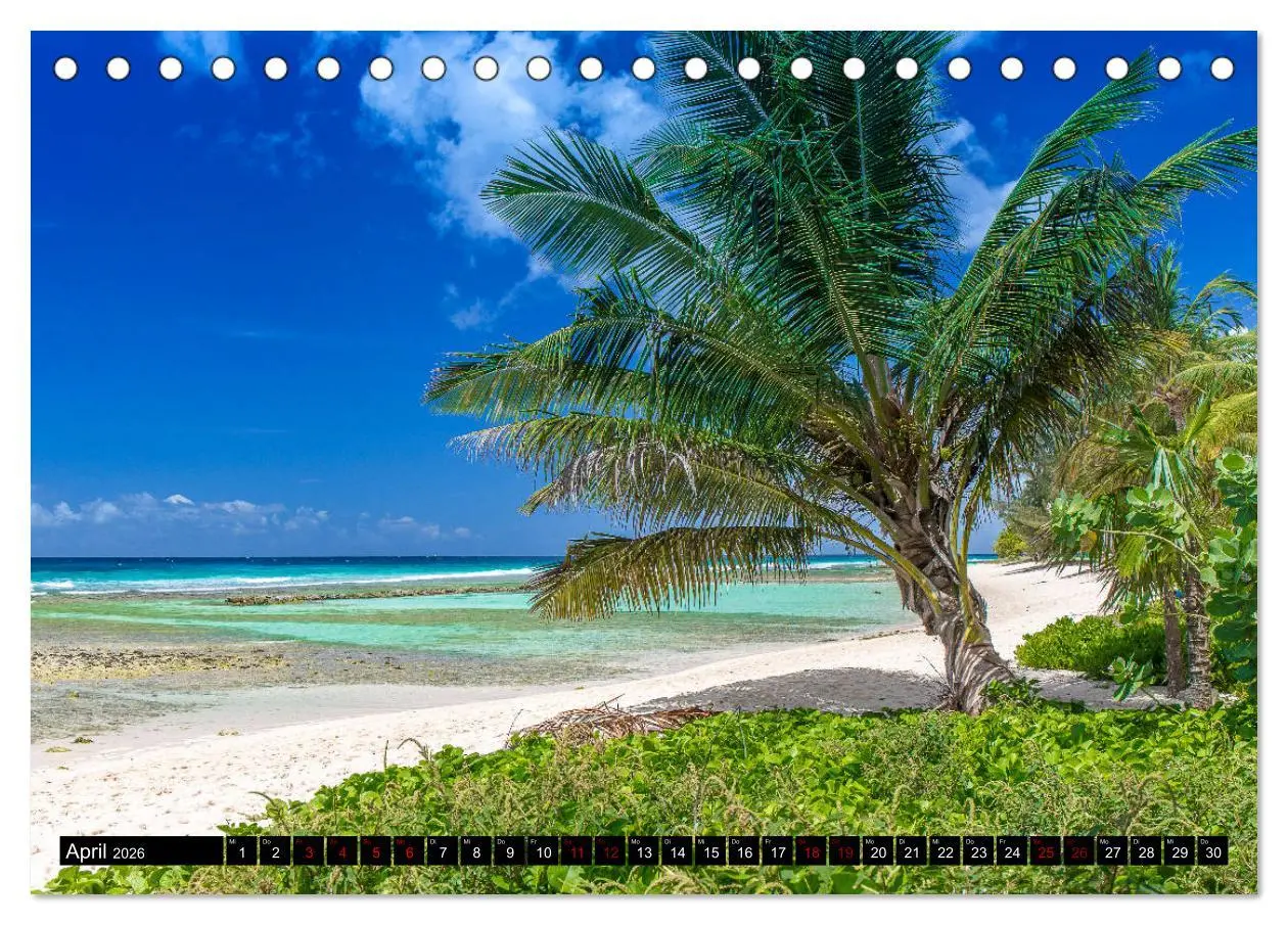 Bild: 9783457805831 | Barbados (Tischkalender 2026 DIN A5 quer), CALVENDO Monatskalender