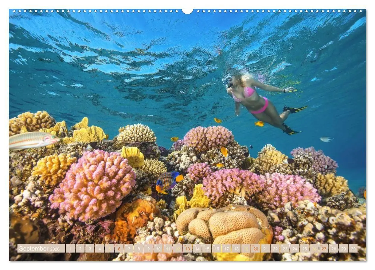 Bild: 9783516685831 | Die Malediven: Fluchtpunkt Sehnsucht (Wandkalender 2026 DIN A2...