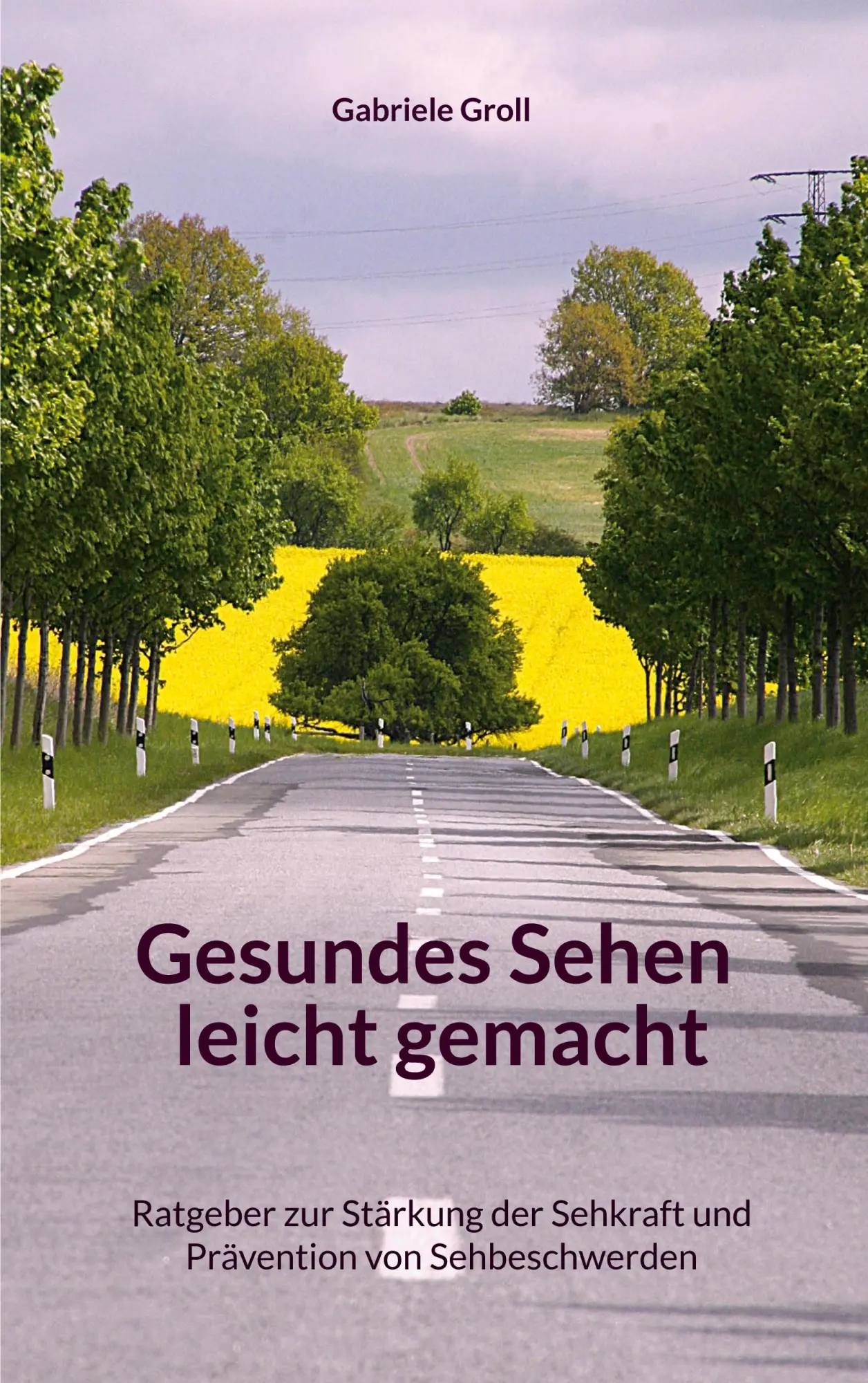 Cover: 9783848265831 | Gesundes Sehen leicht gemacht | Gabriele Groll | Taschenbuch | 92 S.