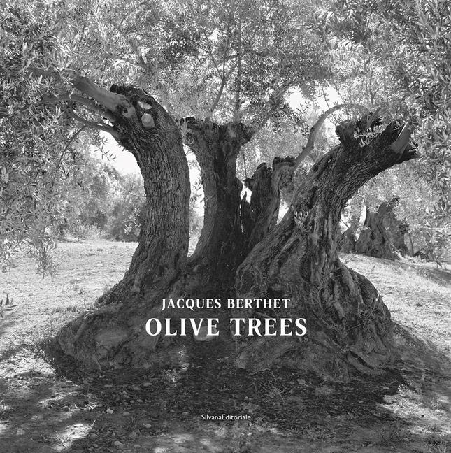 Cover: 9788836645831 | Jacques Berthet: Olive Trees | Buch | Kartoniert / Broschiert | 2021