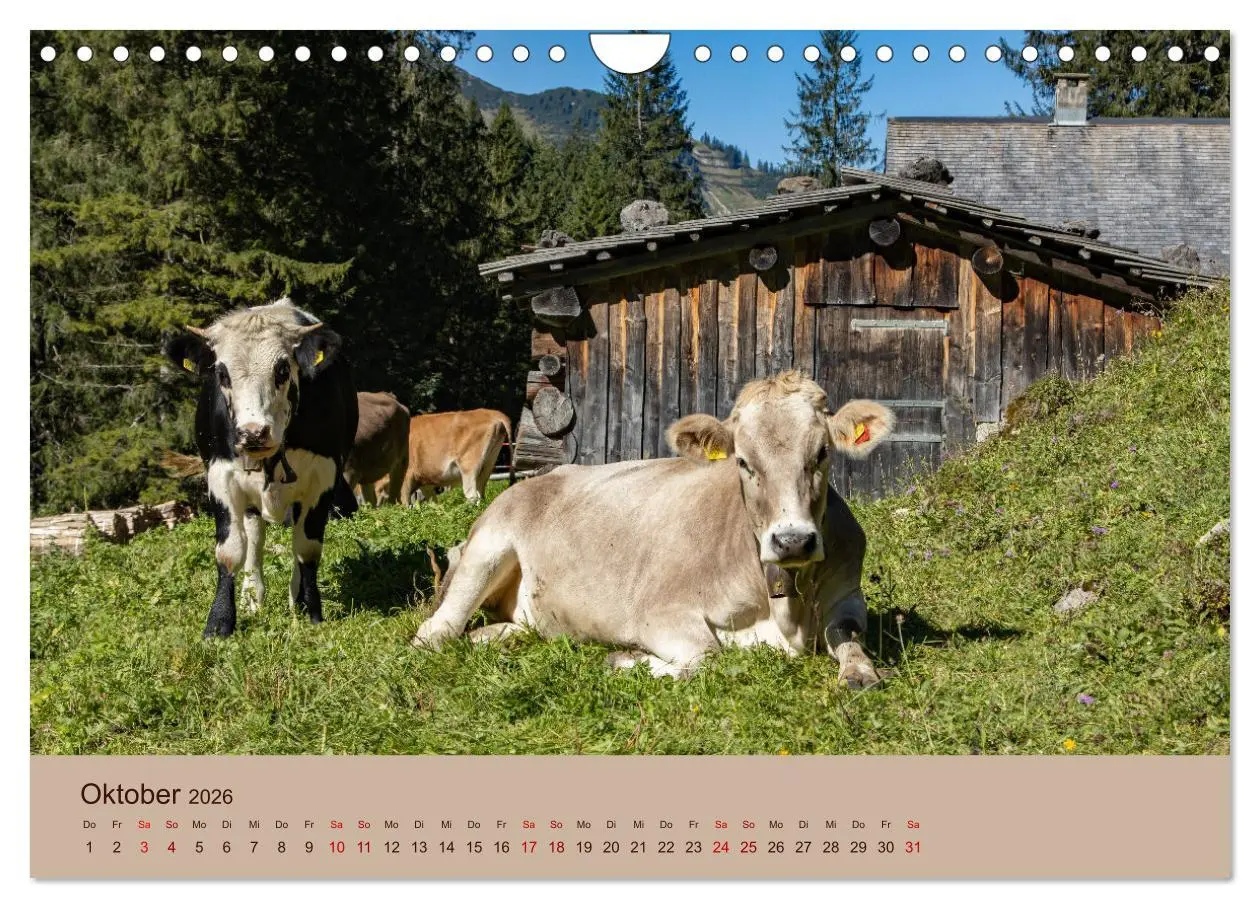 Bild: 9783457585931 | Bauernhoftiere - Von Klein bis Groß, mit Fell und mit Federn....