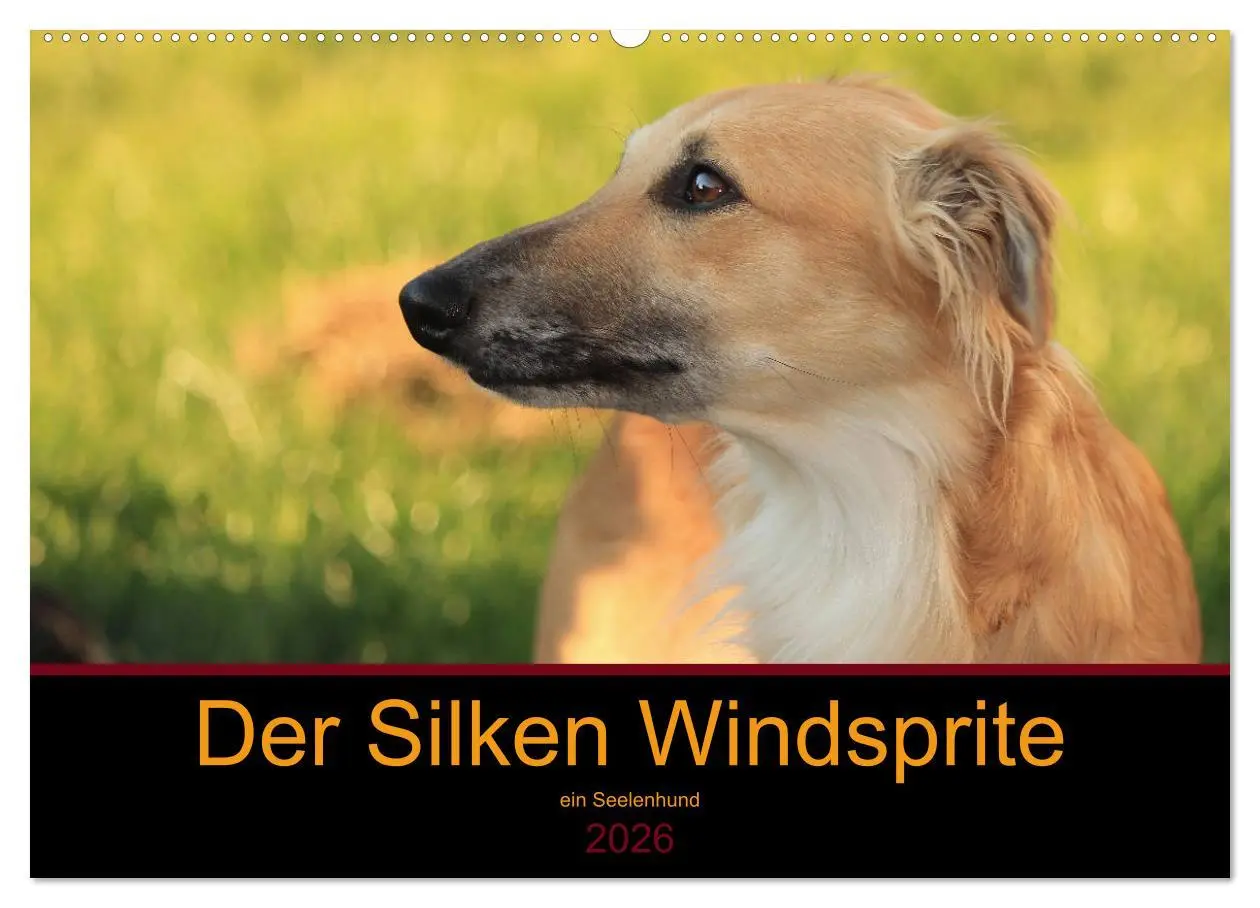 Cover: 9783457895931 | Der Silken Windsprite - ein Seelenhund (Wandkalender 2026 DIN A2...