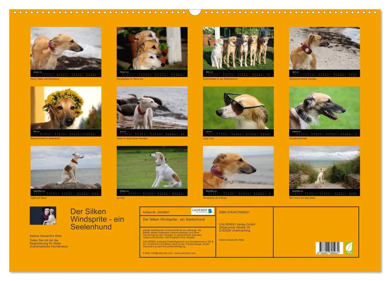 Bild: 9783457895931 | Der Silken Windsprite - ein Seelenhund (Wandkalender 2026 DIN A2...