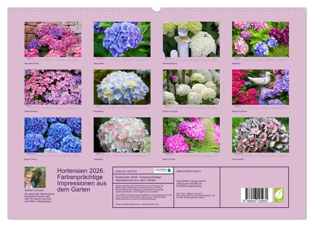 Bild: 9783516125931 | Hortensien 2026. Farbenprächtige Impressionen aus dem Garten...
