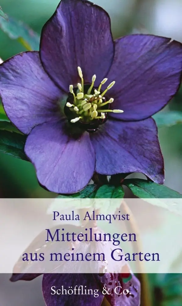 Cover: 9783895615931 | Mitteilungen aus meinem Garten | Gartenkolumnen | Paula Almqvist