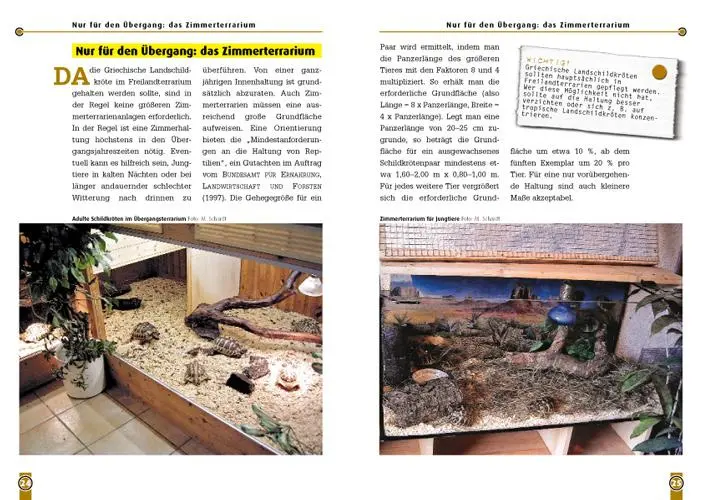 Bild: 9783937285931 | Die Griechische Landschildkröte | Testudo hermanni boettgeri | Schardt