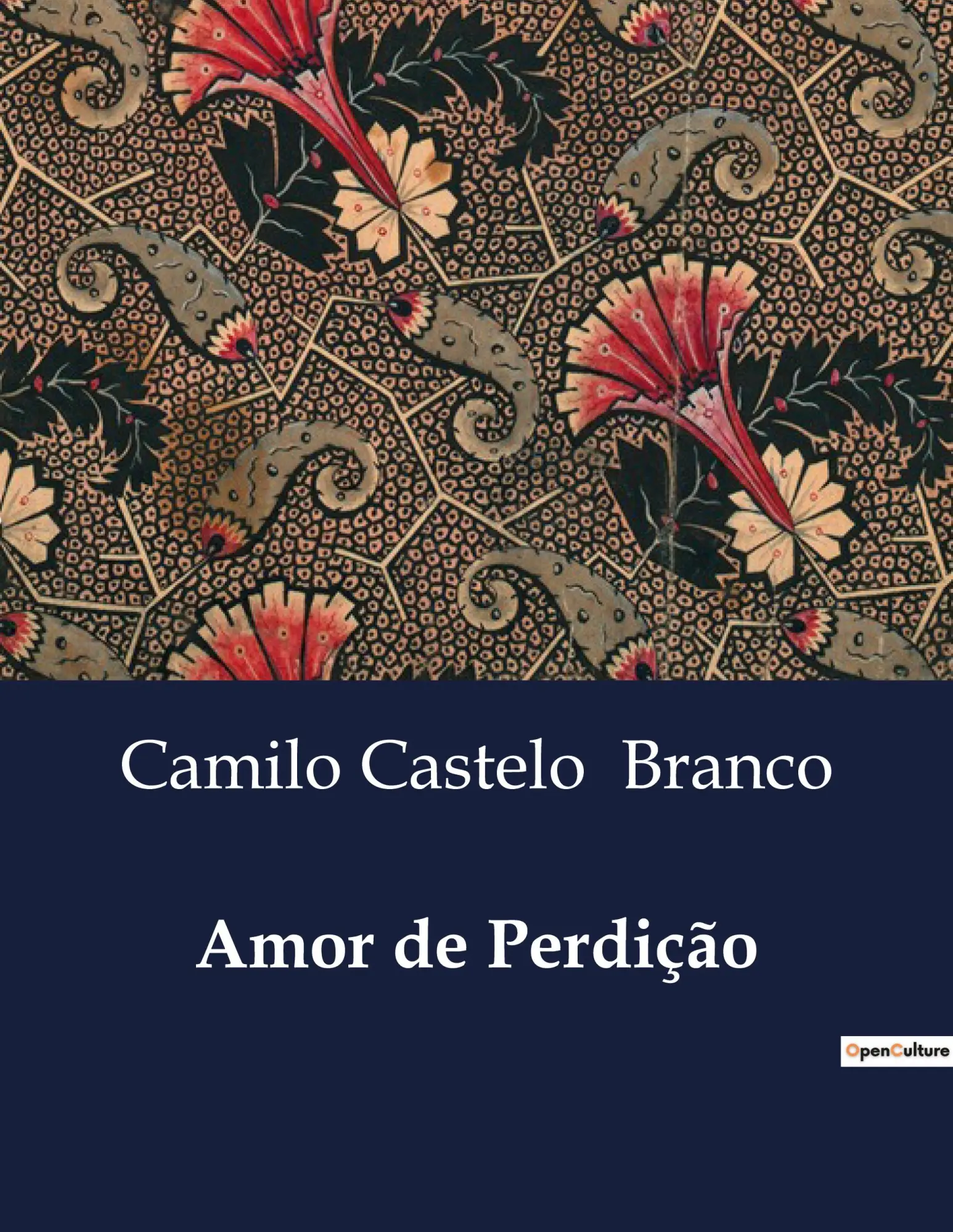Cover: 9791041945931 | Amor de Perdição | Camilo Castelo Branco | Taschenbuch | Portugiesisch