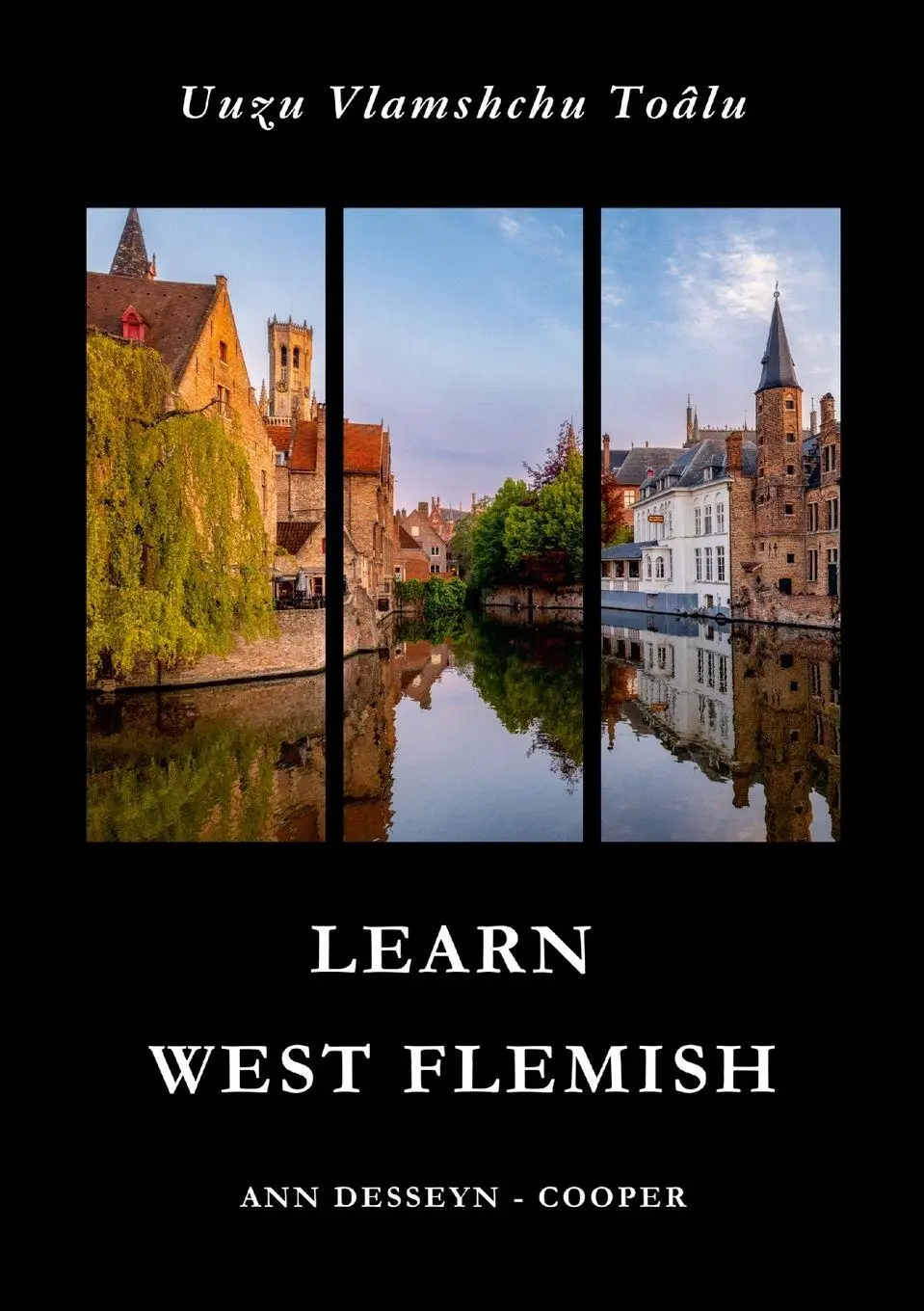 Cover: 9781300916031 | Learn West Flemish | Introduction to Conversation | Cooper | Buch