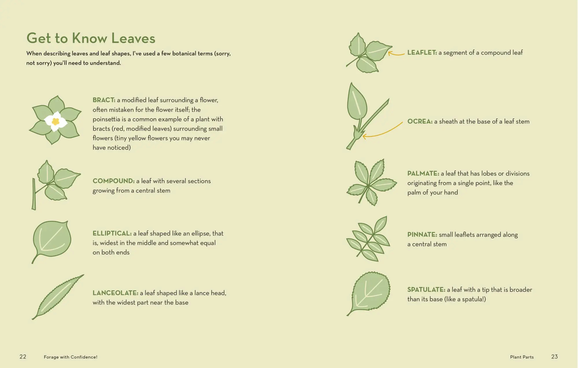 Bild: 9781635866131 | How to Forage for Wild Foods Without Dying | Ellen Zachos | Buch