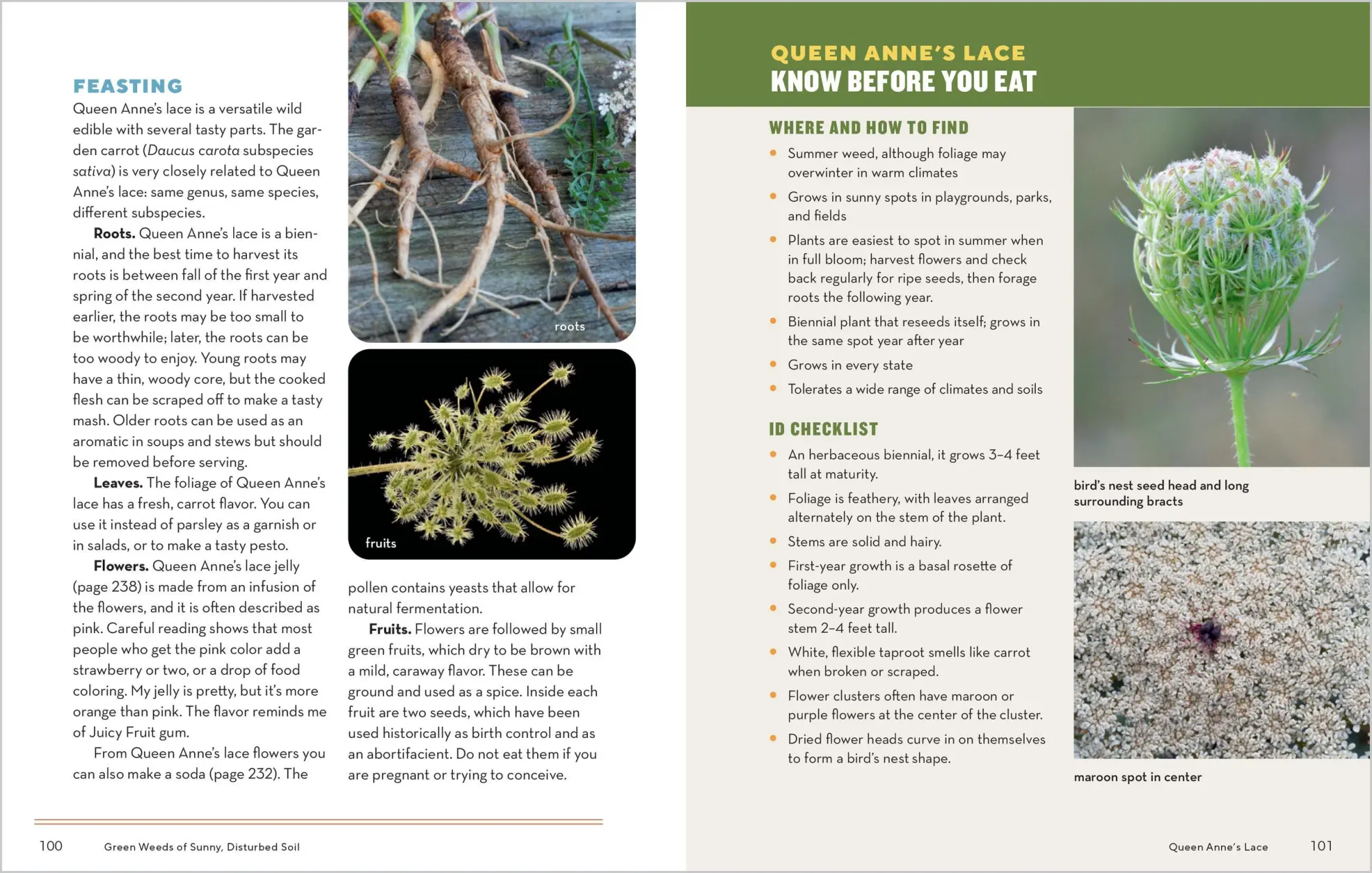 Bild: 9781635866131 | How to Forage for Wild Foods Without Dying | Ellen Zachos | Buch