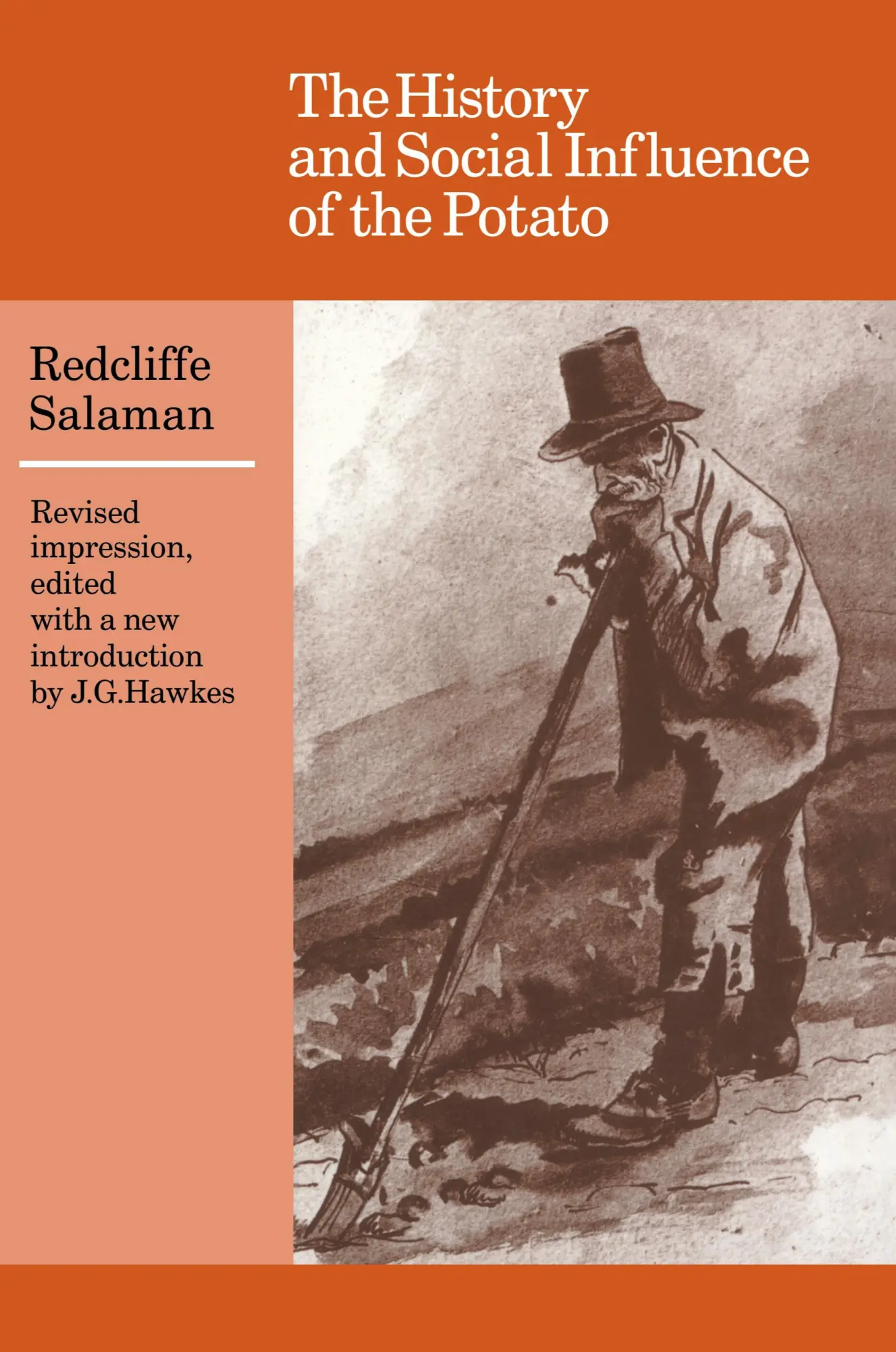 Cover: 9780521316231 | The History and Social Influence of the Potato | Salaman (u. a.)
