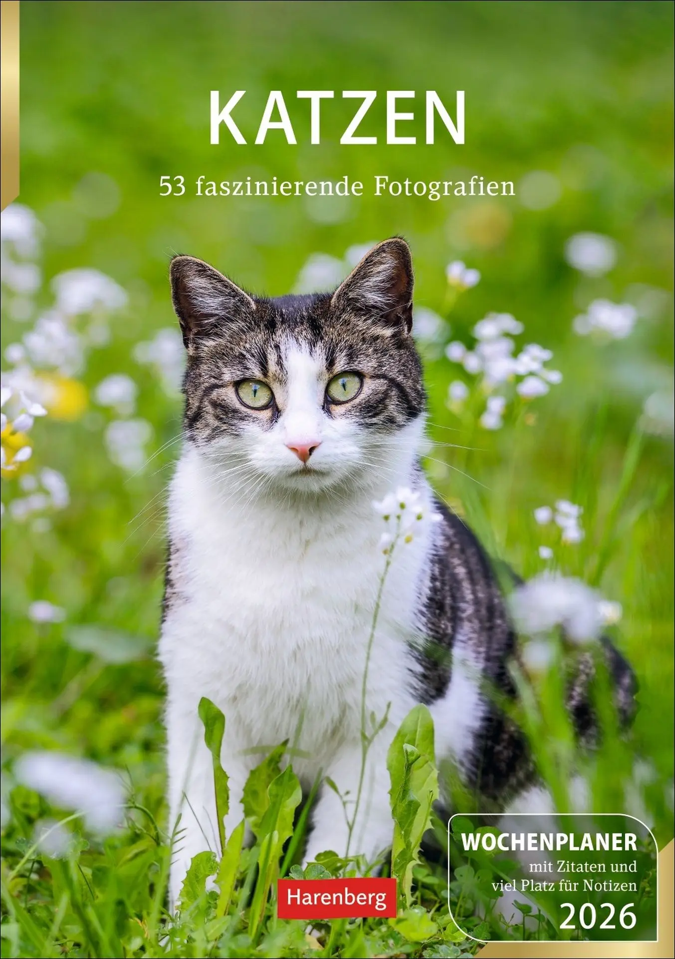 Cover: 9783840036231 | Katzen Wochenplaner 2026 - 53 faszinierende Fotografien | Huhnold