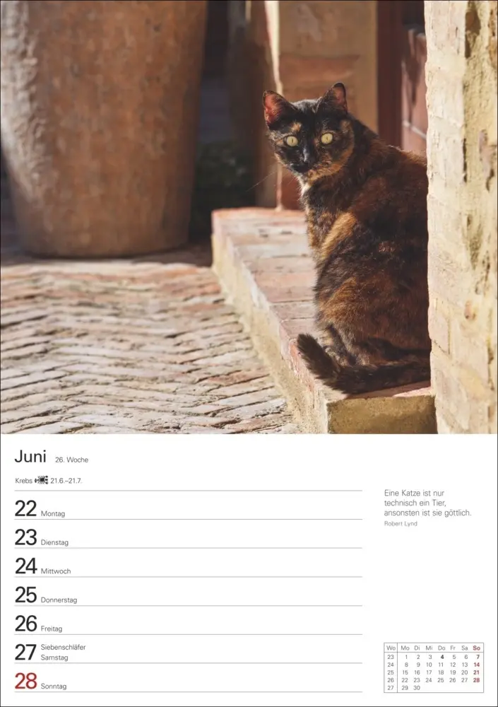 Bild: 9783840036231 | Katzen Wochenplaner 2026 - 53 faszinierende Fotografien | Huhnold