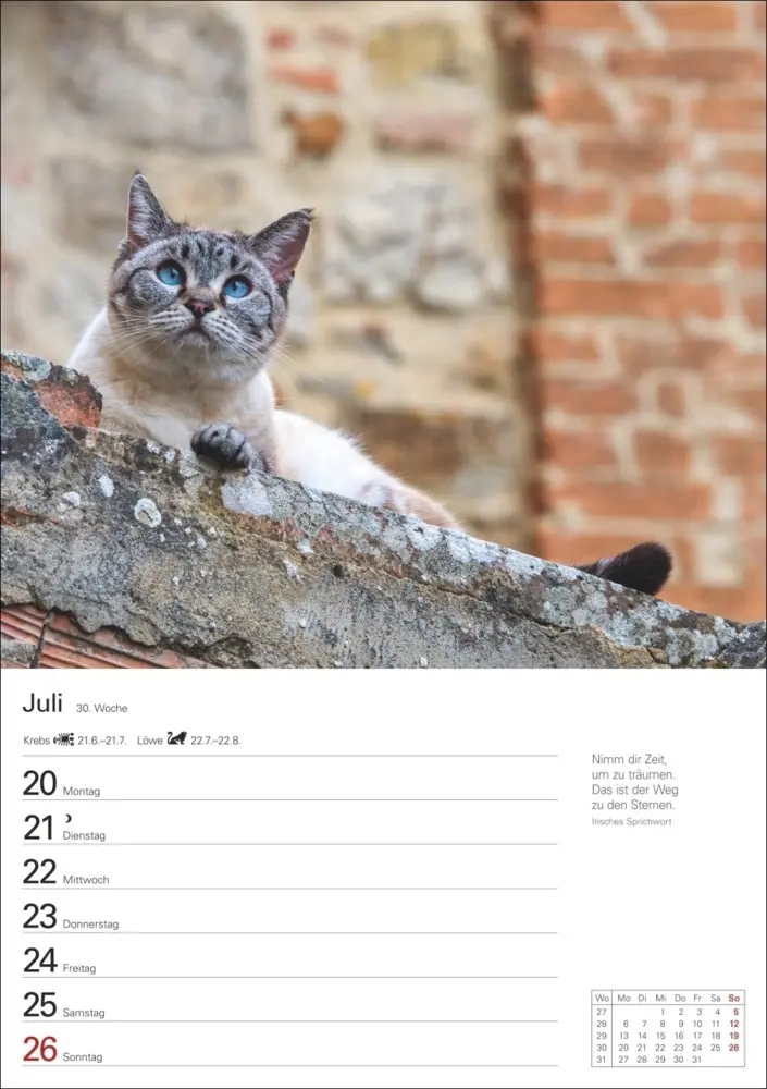 Bild: 9783840036231 | Katzen Wochenplaner 2026 - 53 faszinierende Fotografien | Huhnold