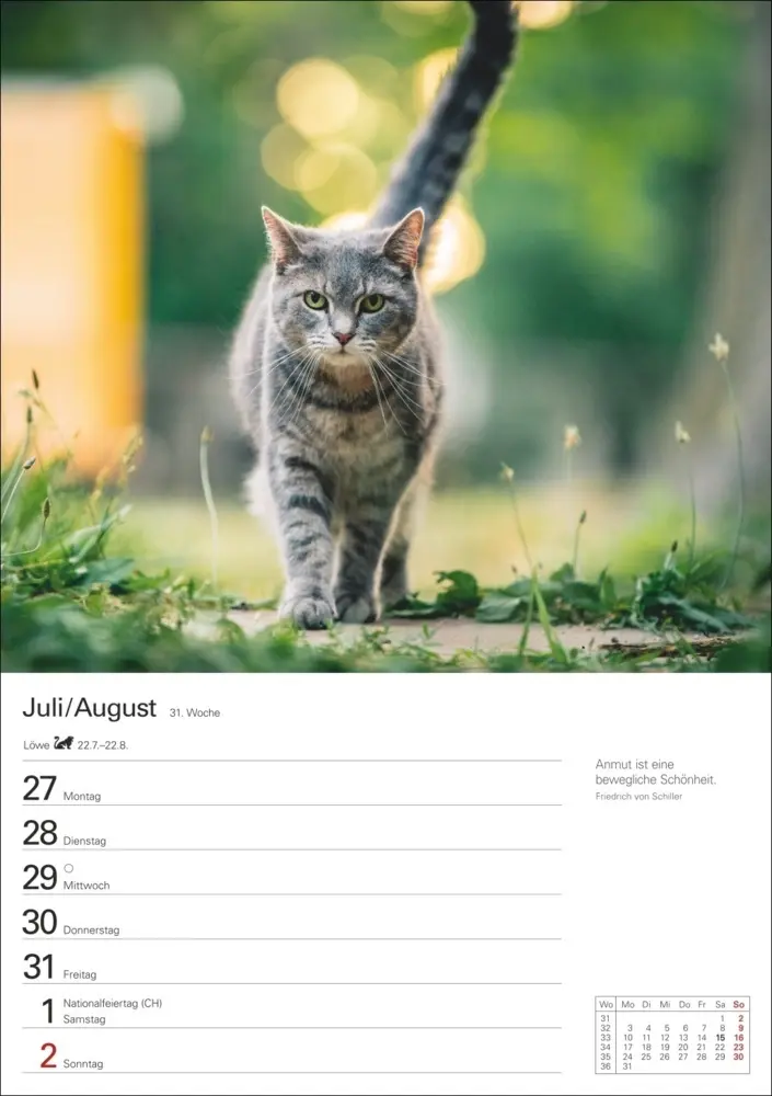 Bild: 9783840036231 | Katzen Wochenplaner 2026 - 53 faszinierende Fotografien | Huhnold