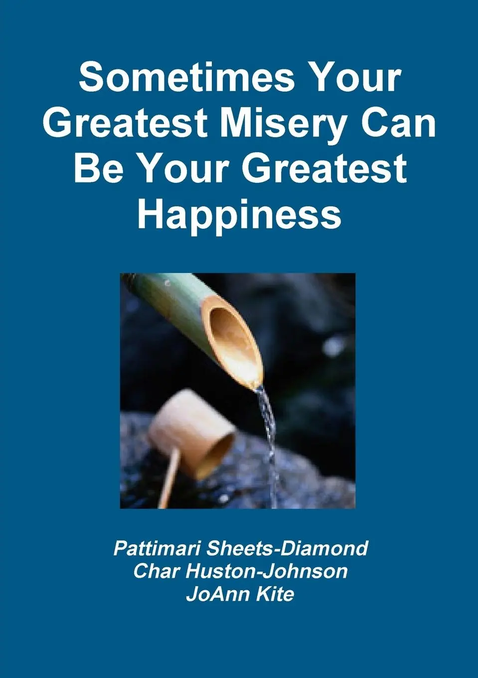 Cover: 9780557426331 | Sometimes Your Greatest Misery Can be Your Greatest Happiness | Buch