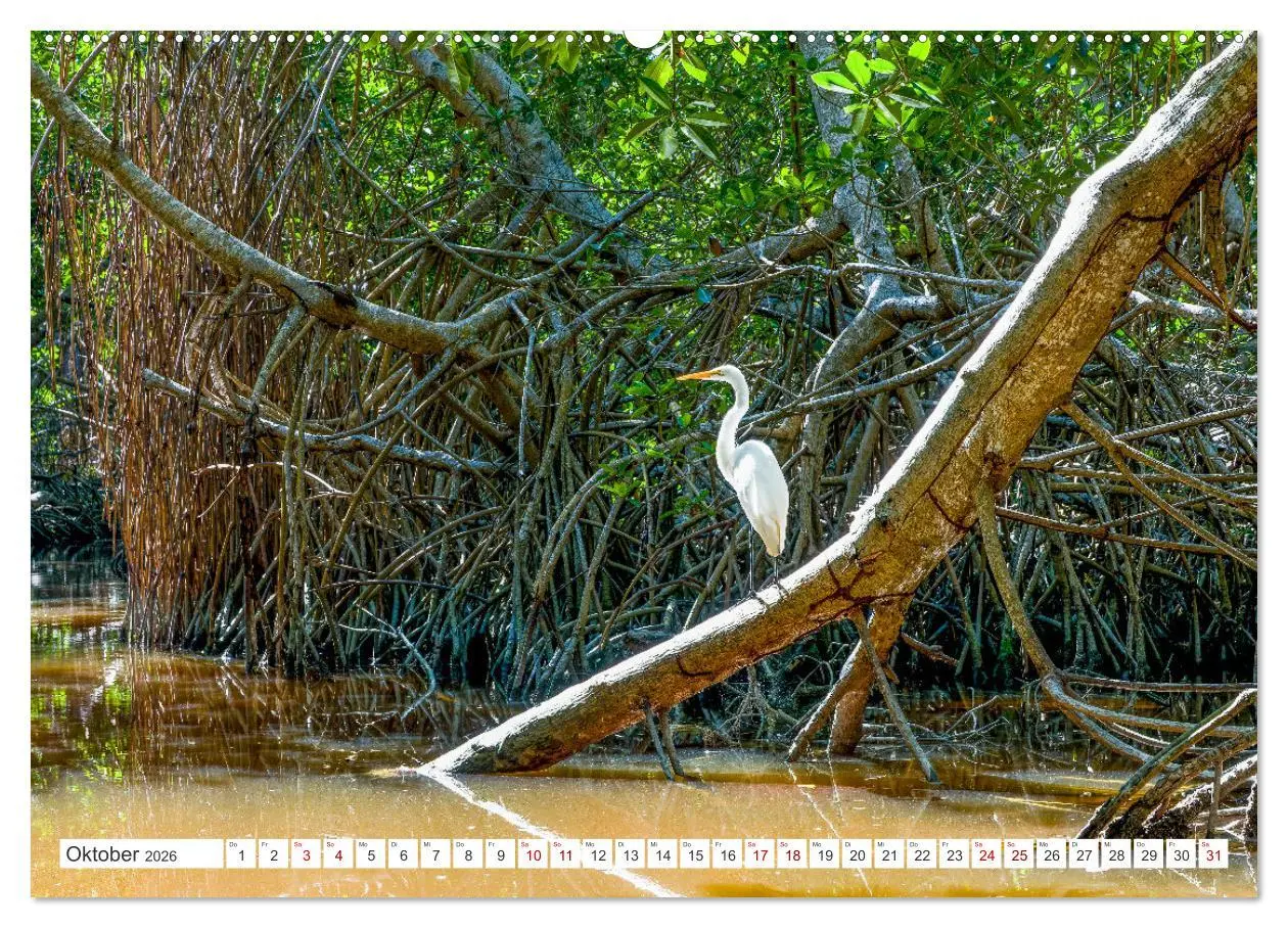 Bild: 9783457516331 | Unterwegs auf Yucatan Mexiko (Wandkalender 2026 DIN A2 quer),...