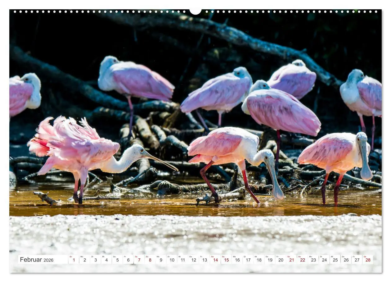 Bild: 9783457516331 | Unterwegs auf Yucatan Mexiko (Wandkalender 2026 DIN A2 quer),...