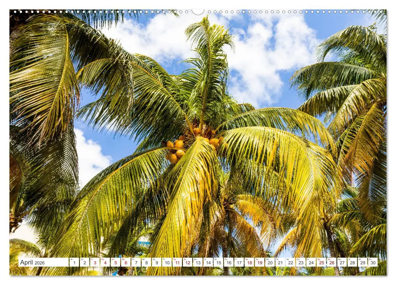 Bild: 9783457516331 | Unterwegs auf Yucatan Mexiko (Wandkalender 2026 DIN A2 quer),...