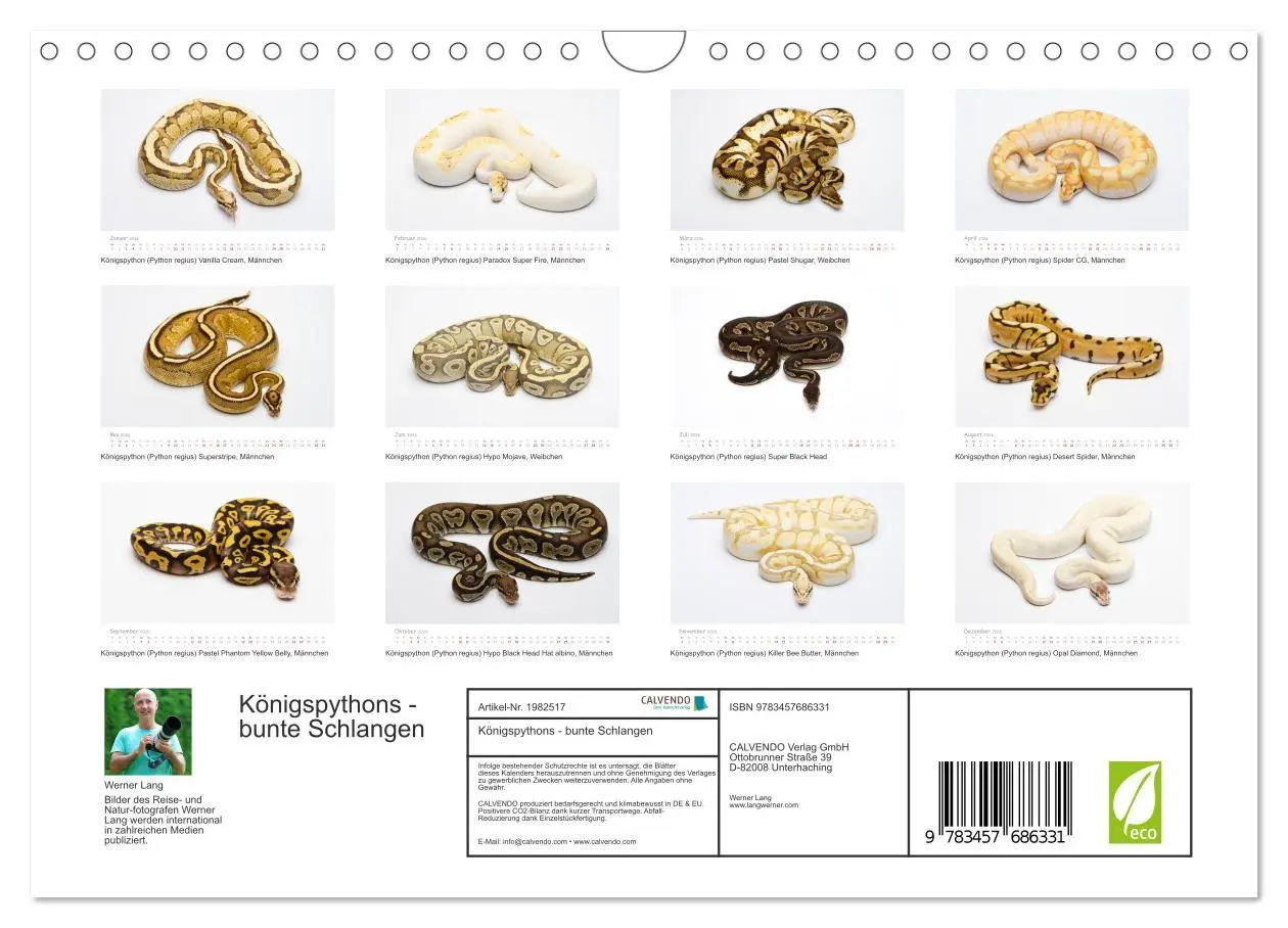 Bild: 9783457686331 | Königspythons - bunte Schlangen (Wandkalender 2026 DIN A4 quer),...
