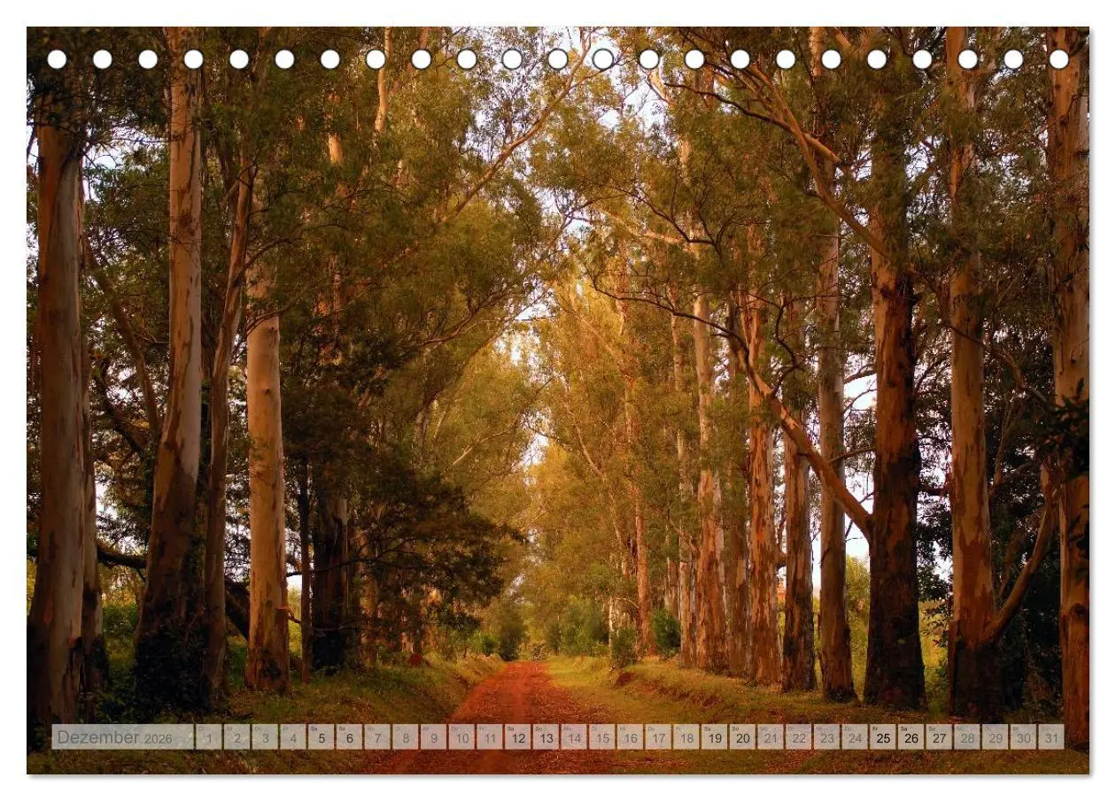 Bild: 9783516086331 | Argentinien Christian Heeb (Tischkalender 2026 DIN A5 quer),...