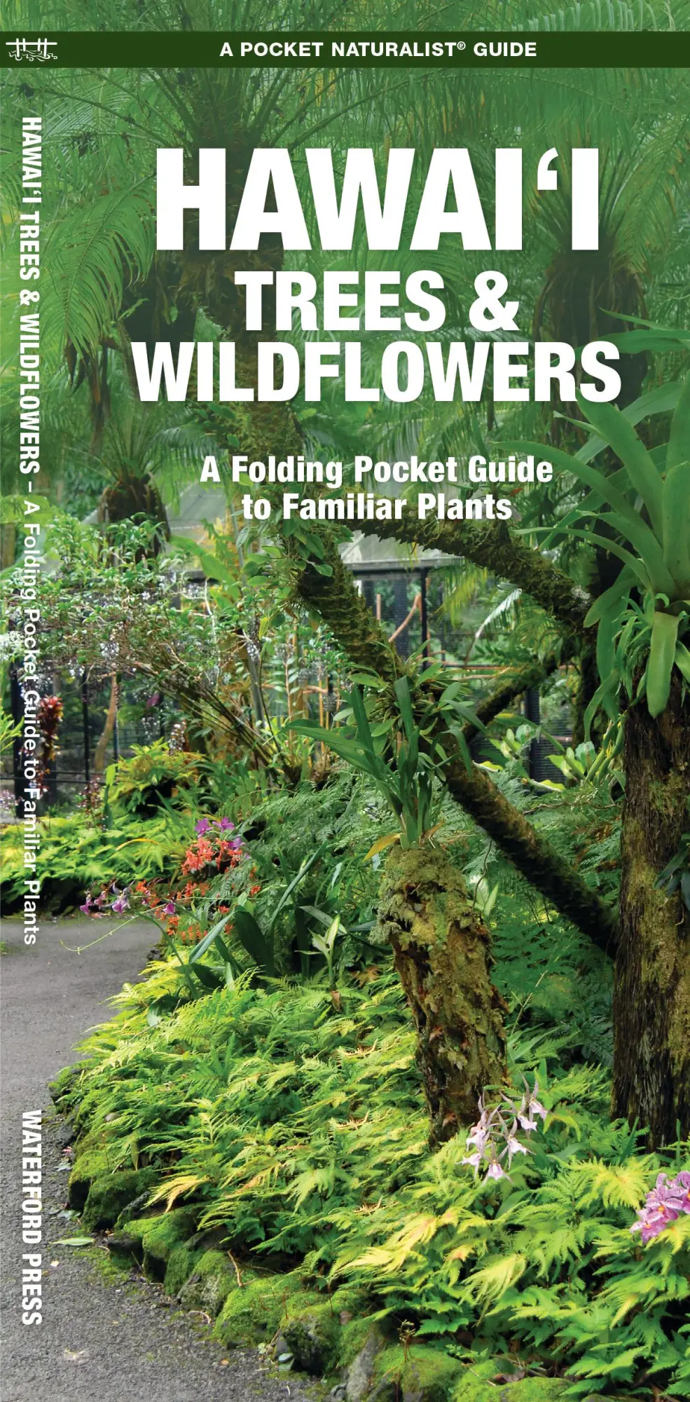 Cover: 9781620056431 | Hawai'i Trees &amp; Wildflowers | Waterford Press | Broschüre | Englisch