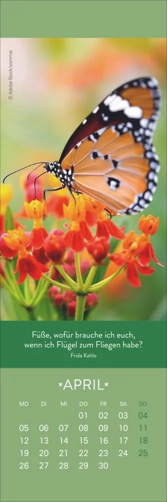 Bild: 9783756416431 | Gute Gedanken Lesezeichen &amp; Kalender 2027 | Kalender | Geblockt | 2027