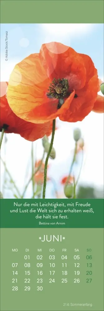Bild: 9783756416431 | Gute Gedanken Lesezeichen &amp; Kalender 2027 | Kalender | Geblockt | 2027