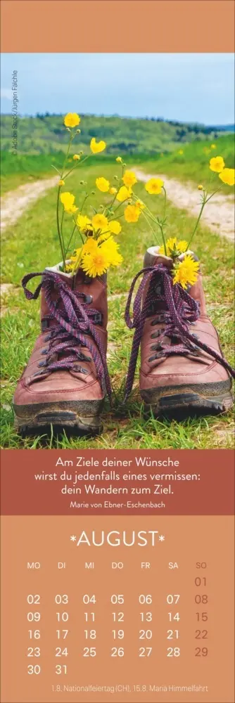 Bild: 9783756416431 | Gute Gedanken Lesezeichen &amp; Kalender 2027 | Kalender | Geblockt | 2027