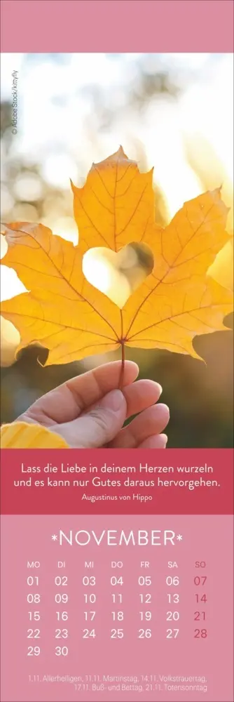 Bild: 9783756416431 | Gute Gedanken Lesezeichen &amp; Kalender 2027 | Kalender | Geblockt | 2027