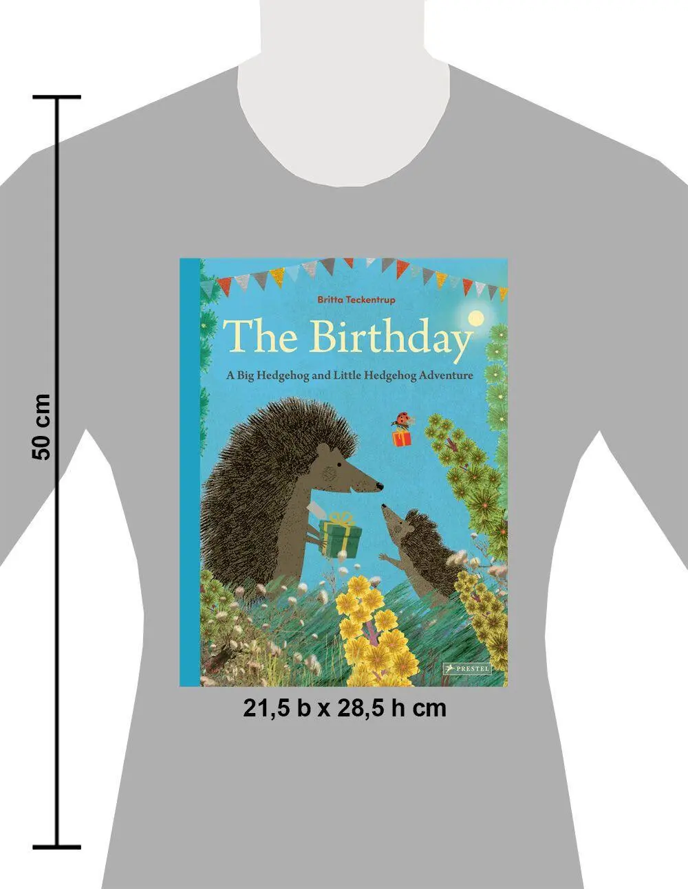 Bild: 9783791376431 | The Birthday: A Big Hedgehog and Little Hedgehog Adventure | Buch