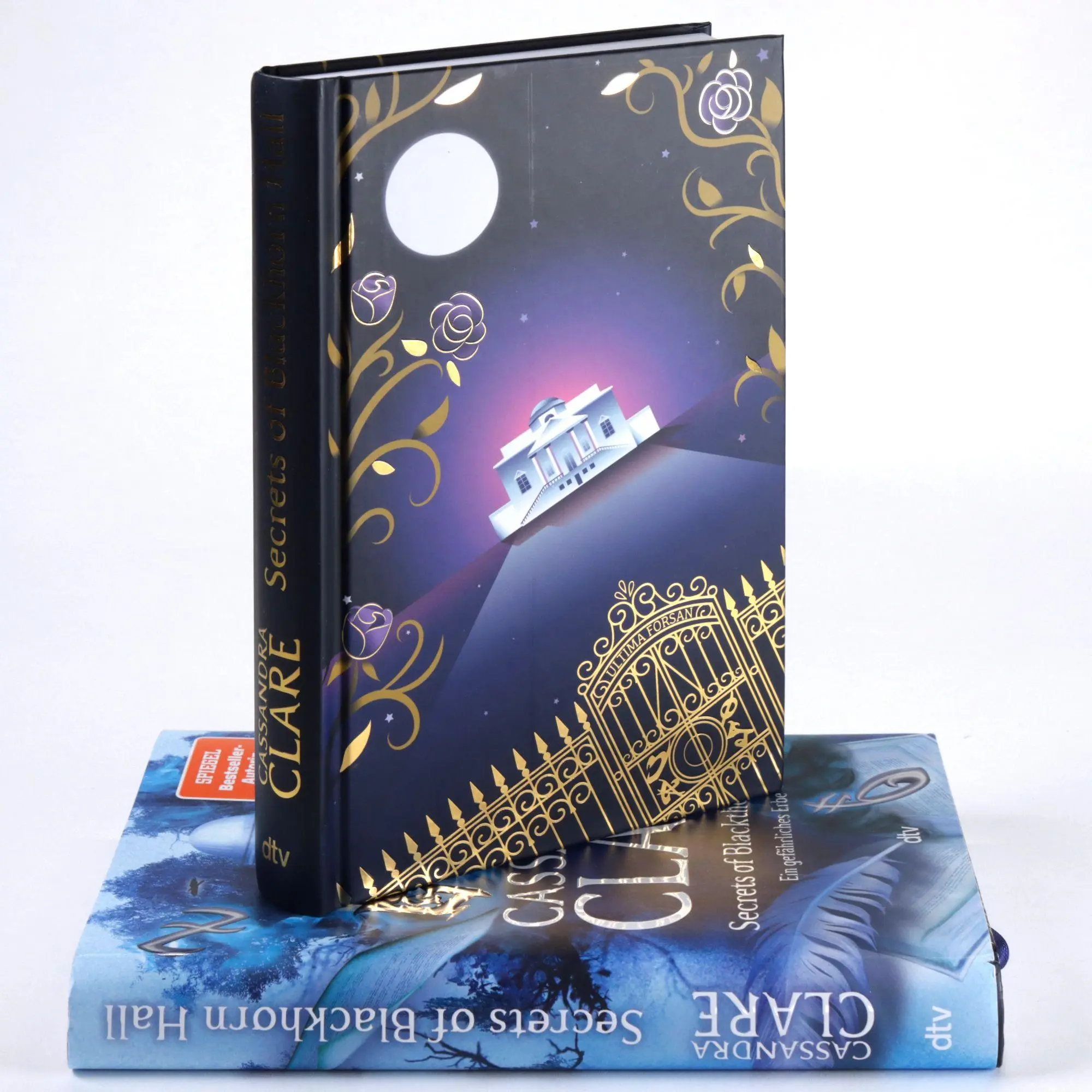Bild: 9783423766531 | Secrets of Blackthorn Hall | Cassandra Clare | Buch | 312 S. | Deutsch