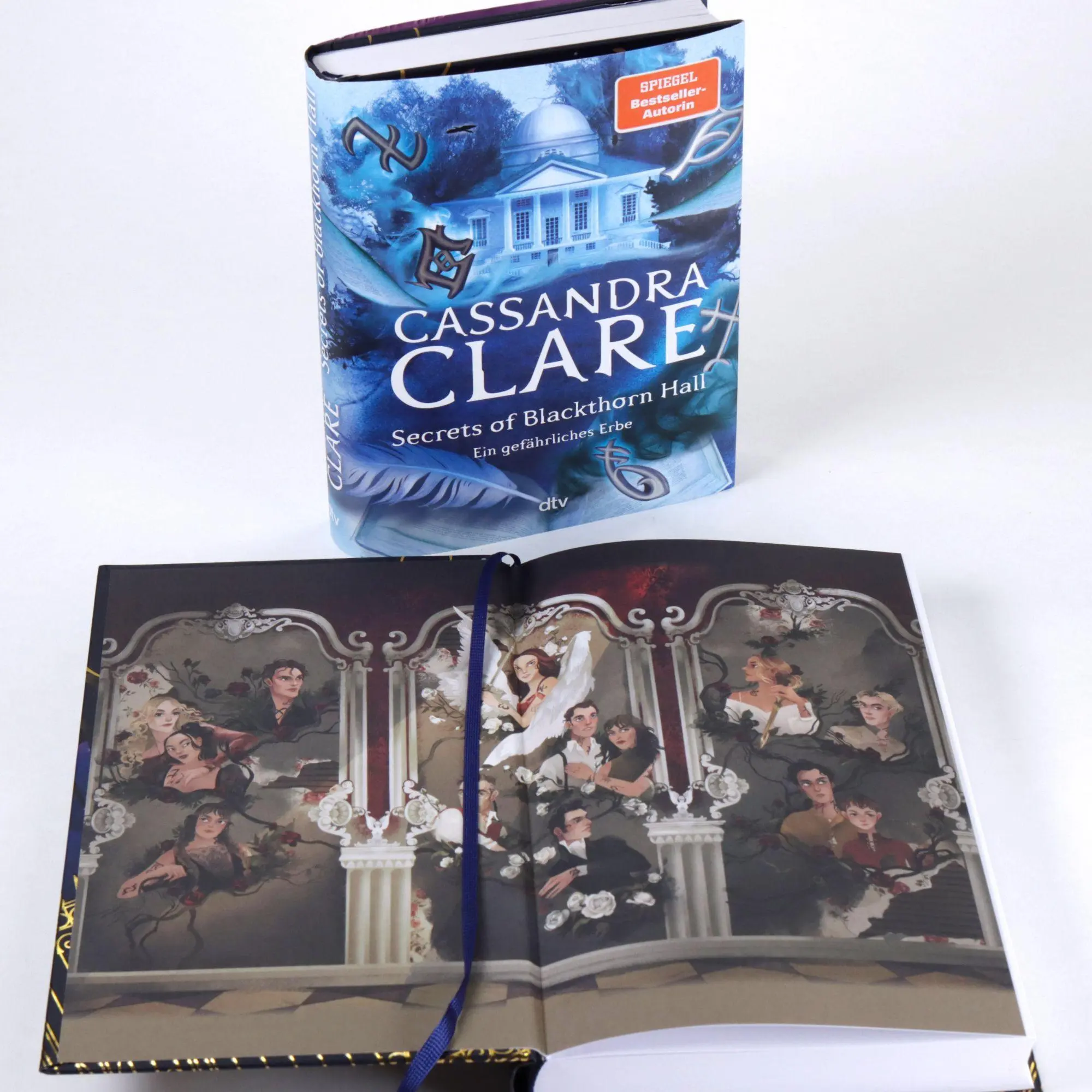 Bild: 9783423766531 | Secrets of Blackthorn Hall | Cassandra Clare | Buch | 312 S. | Deutsch