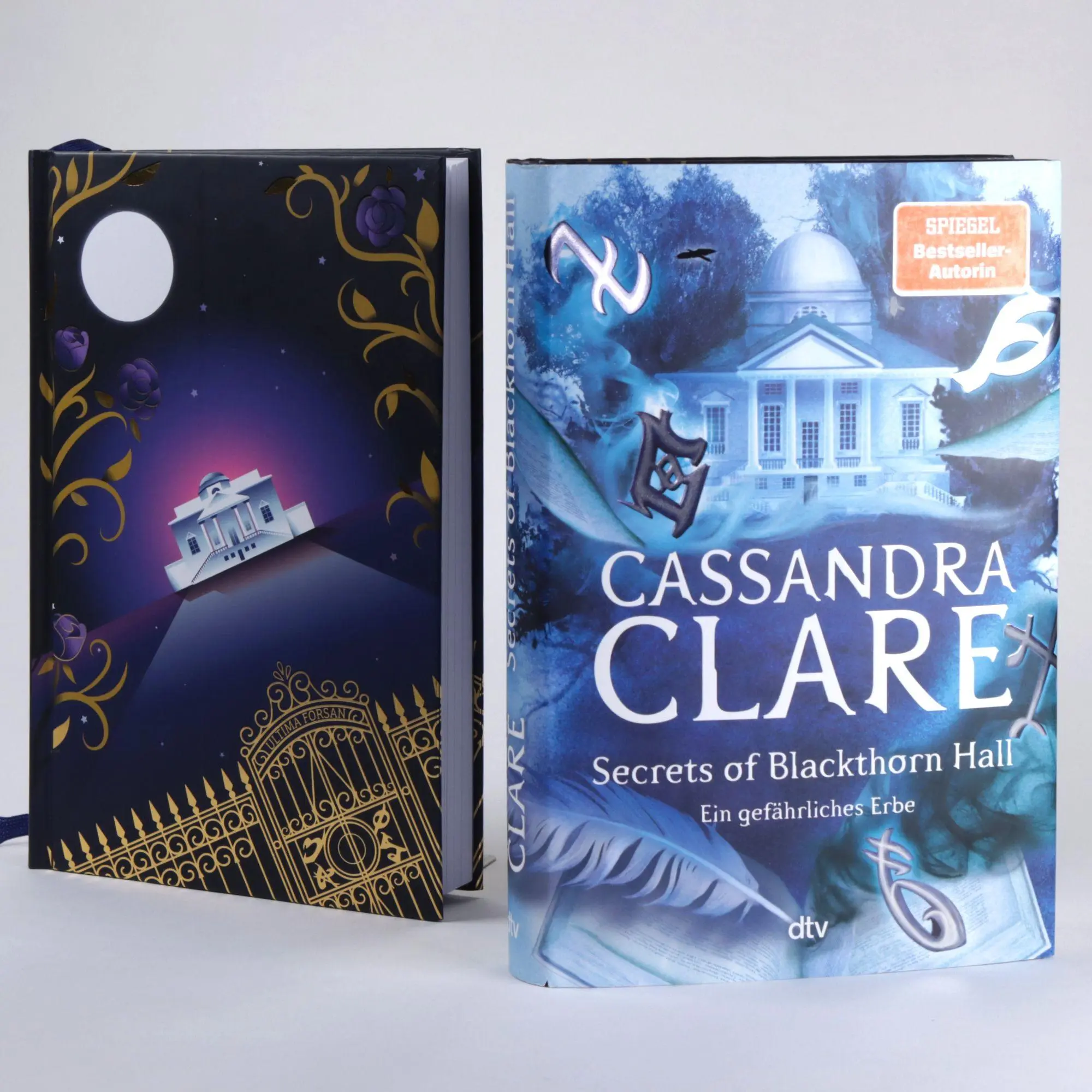 Bild: 9783423766531 | Secrets of Blackthorn Hall | Cassandra Clare | Buch | 312 S. | Deutsch