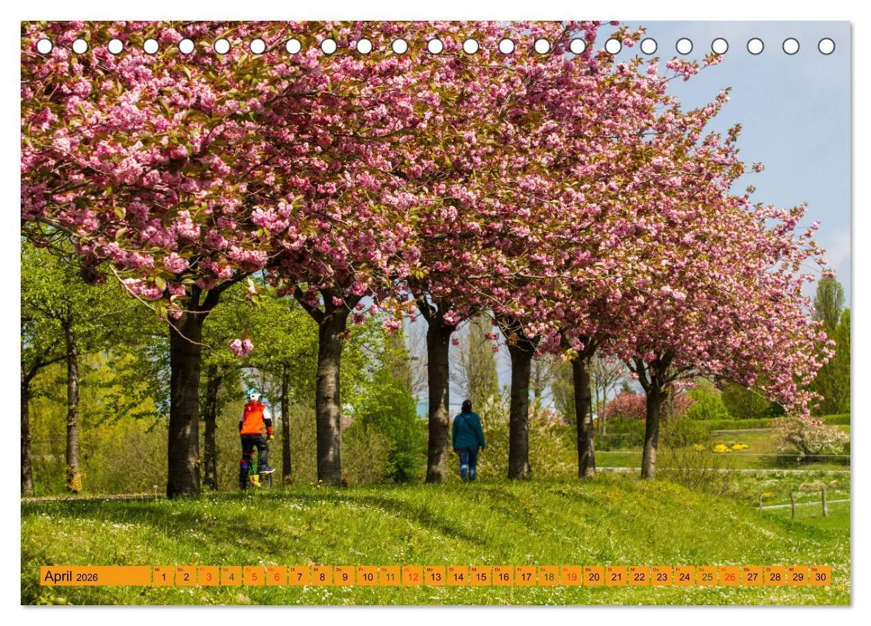Bild: 9783457596531 | Wismarer Bucht - Impressionen zwischen Klützer Winkel und der Insel...