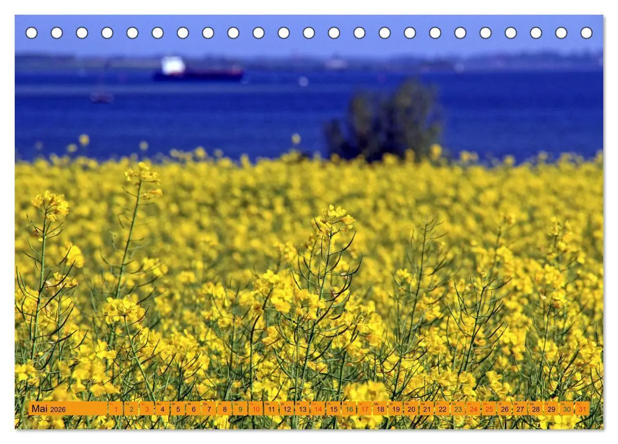 Bild: 9783457596531 | Wismarer Bucht - Impressionen zwischen Klützer Winkel und der Insel...