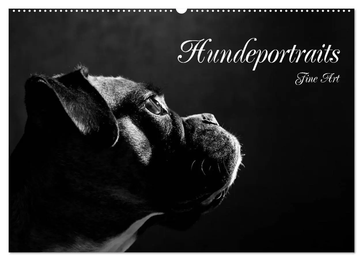 Cover: 9783457896631 | Hundeportraits Fine Art (Wandkalender 2026 DIN A2 quer), CALVENDO...