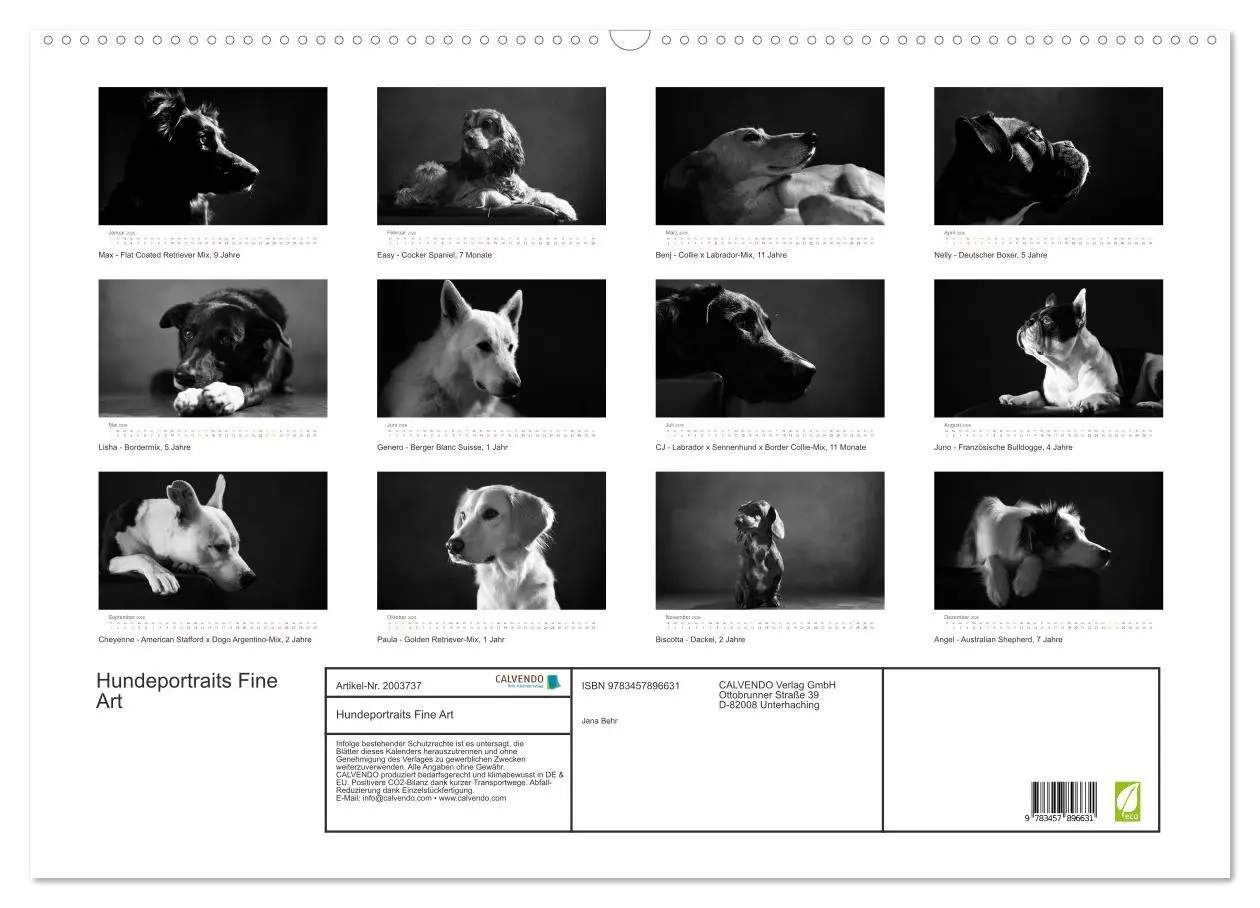 Bild: 9783457896631 | Hundeportraits Fine Art (Wandkalender 2026 DIN A2 quer), CALVENDO...