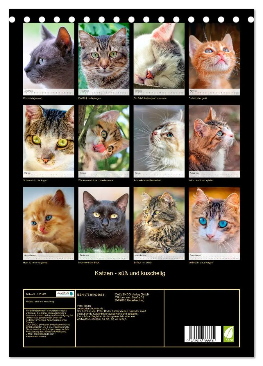 Bild: 9783516366631 | Katzen - süß und kuschelig (Tischkalender 2026 DIN A5 hoch),...
